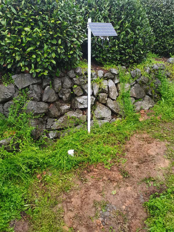 杭州西湖龍井村茶園土壤墑情監測儀項目